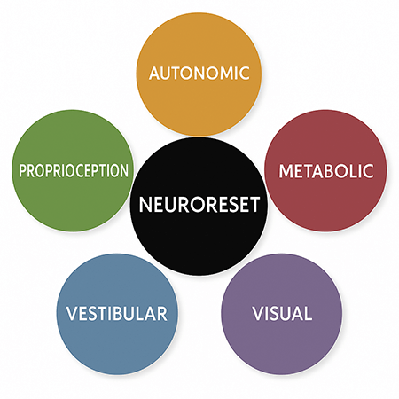 Neuroreset