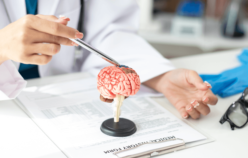 doctor-with-brain-model